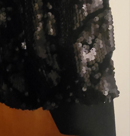 Le Gali Sequined Velvet Top - Picture 4 of 7